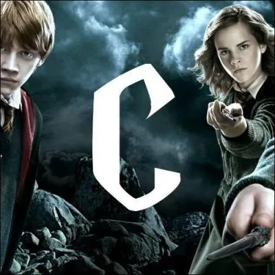 C. Quelle poudre lance-t-on dans sa chemine pour atterrir dans une autre chemine ?