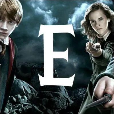 E. Quelle formule magique faut-il prononcer pour pouvoir dsarmer son adversaire ?