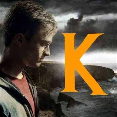 Parmi les propositions ci-dessous, quelle est la seule affirmation juste concernant Igor Karkaroff ?