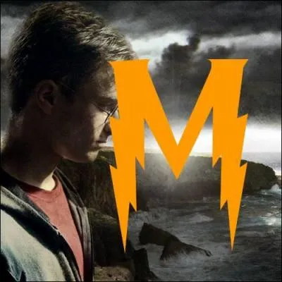 Quelle est la mascotte de l'quipe nationale de Quidditch d'Irlande ?