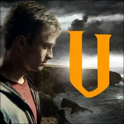  Un bon matin, j'ai rencontr l'hippogriffe . Qui chante ce cantique ?