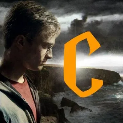 Si je me trouve  la Chaumire aux Coquillages, je risque de rencontrer :