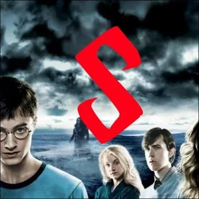 S. Au cours de quel sicle y a-t-il eu le plus grand nombre de crmations de sorcires, selon J. K. Rowling ?
