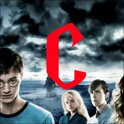 C. Le crime tait presque parfait ! Quelle est la seule chose que l'on ait retrouve de Barty Croupton, dcd  la lisire de la fort Interdite ?