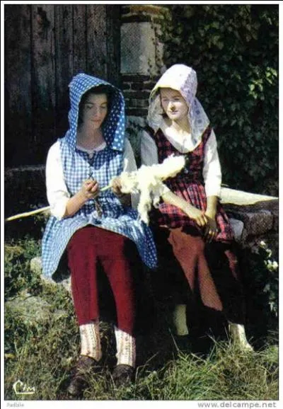 La ... est une coiffe, utilise autrefois par les femmes de Vende, pour se protger du soleil.