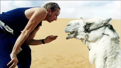 Dans le film  le Boulet  de 2002 les r�les principaux sont tenus par Beno�t Poelvoorde qui joue  Reggio  mais qui joue  Molt�s  l'autre r�le principal ?