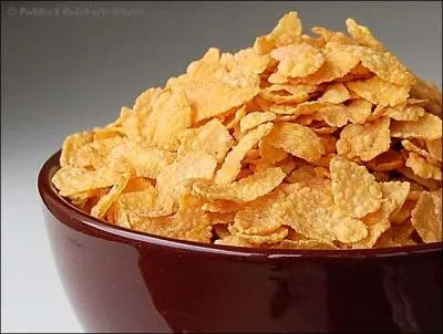 En quelle anne, le docteur John Harvey Kellog inventa-t-il les corn flakes ?