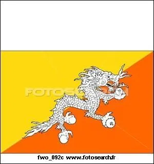 Quel pays porte ce drapeau ?