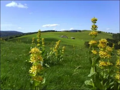 Quelle est la superficie ?