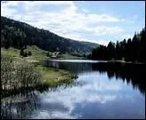 Quel est le code Insee ?