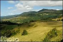 Comment appelle-t-on les habitants des Vosges ?