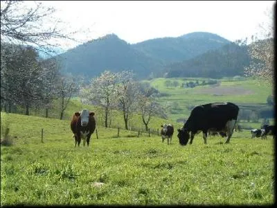 Quelle est la population (en 2010) ?