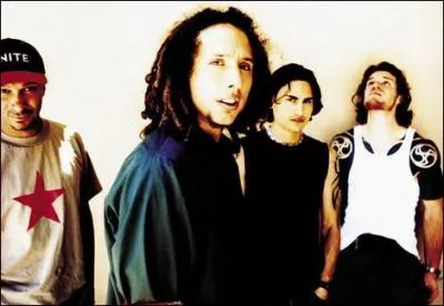 La musique de quel groupe est principalement une fusion de metal et de rap, avec des influences funk et punk ?