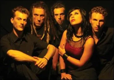 Quel est ce groupe ?