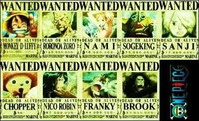 Toujours dans One Piece, qui veut devenir le Roi des Pirates ?