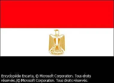  quel pays appartient ce drapeau ?