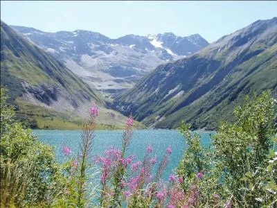 Qui chante  Le France  en 1975 ?