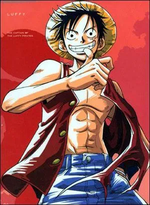 Lequel de ces personnages n'a pas été battu par Luffy ?