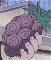 Lequel de ces personnages n'a pas de Fruit du Démon de type Logia ?