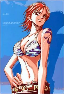 Quel est le fruit préféré de Nami ?
