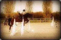 Quelle est l'activit que fait  Opium de la Courance  avec son cavalier ?