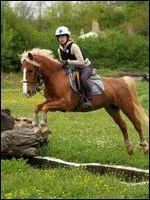 Quelle est la robe de  Osecour  ?