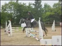 Quelle est la robe d'  Univers de la Courance  ?