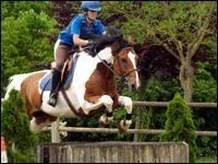 Quelle est la robe de  Quorum  ?