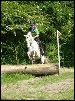 Quelle est l'activit que pratique  Griko Elvey  avec son cavalier ?