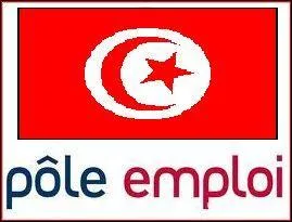 En Tunisie, quelle est la part de diplms du suprieur au chmage ?