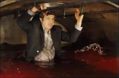 Quel est le titre de ce film ?