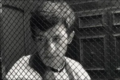 Quel est le titre de ce film ?