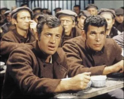 Quel est le titre de ce film ?