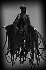 Que font les Dtraqueurs ?