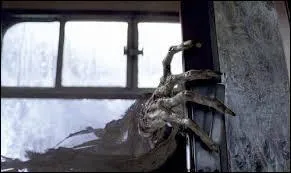 Quand le dtraqueur attaque Harry, dans le train, qui entend-il au moment de s'vanouir ?