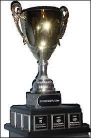 Qui gagne la coupe de Quidditch ?