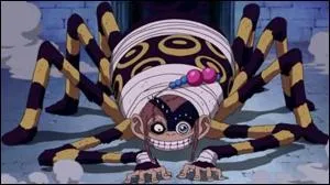 Qui arrive  battre Tararan, l'araigne-singe ?