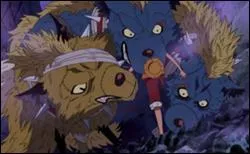 Quel est le numro de Cerbre ?