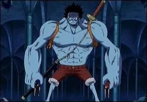 Combien d'ombres Luffy a-t-il absorbes ?