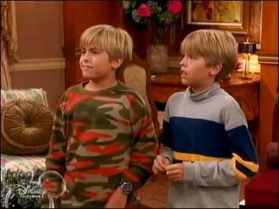 Où se passe l'action dans la série avec les jumeaux Zack et Cody ?