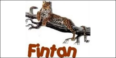 Que signifie le prénom Fintan, d'origine celtique ?