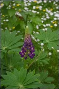 Quel personnage, (1  7), est associ  cette image ?