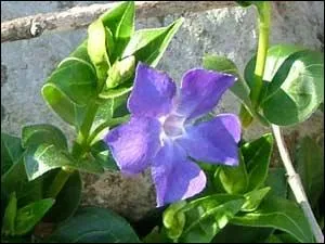 Quel personnage, (1  7), est associ  cette image ?