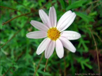 Quel personnage, (1  7), est associ  cette image ?