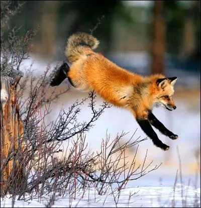 Quel personnage, (1  7), est associ  cette image ?