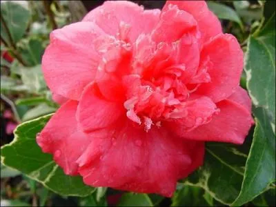 Quel personnage, (1  7), est associ  cette image ?