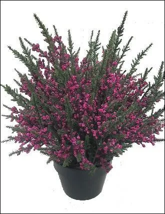 Quel personnage, (1  7), est associ  cette image ?