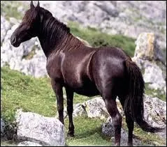 Et quelles robes pour ceux de montagne ?