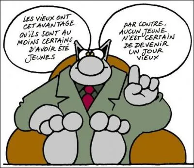 Le 3me ge n'a jamais t aussi reprsent qu'aujourd'hui. Quel pourcentage de la population reprsente en France les plus de 65 ans en 2013 ?