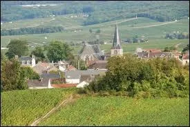Nous traversons les vignes et nous arrivons  Rilly-la-Montagne (dpartement 51). La commune se situe en rgion ...